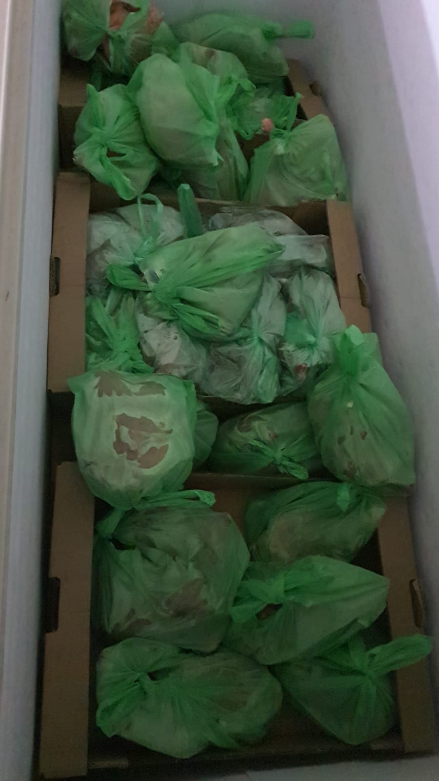 WhatsApp Image 2020-02-06 at 3.26.20 PM.jpeg.jpeg